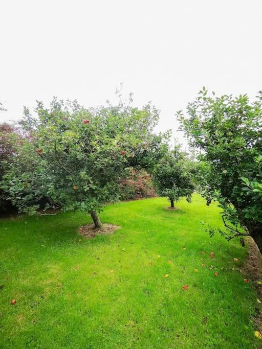 Orchard Cottage Dingle Exterior foto